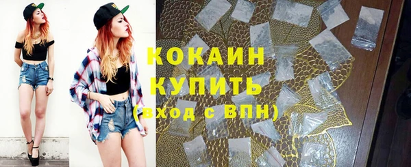 прущие грибы Елабуга