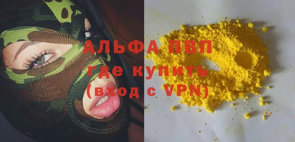 индика Елизово