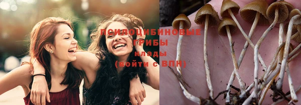 молекула духа Зеленодольск