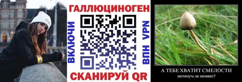 где купить наркоту  Светлогорск  Псилоцибиновые грибы GOLDEN TEACHER 