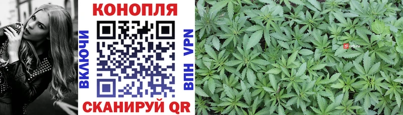 как найти   Светлогорск  Каннабис ГИДРОПОН 